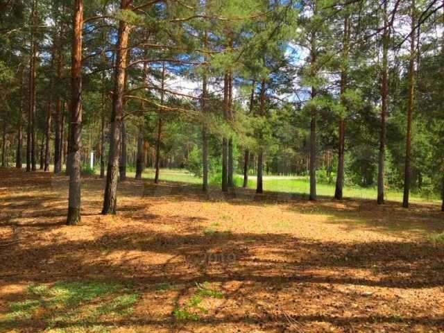 Участок 22 сот. (ИЖС)