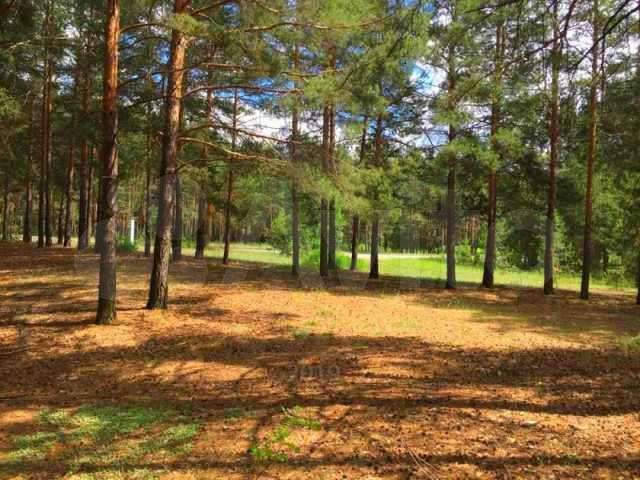 Участок 22 сот. (ИЖС)