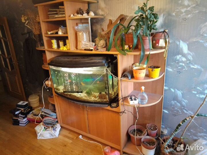 Аквариум 200 литров с рыбами и всей техникой