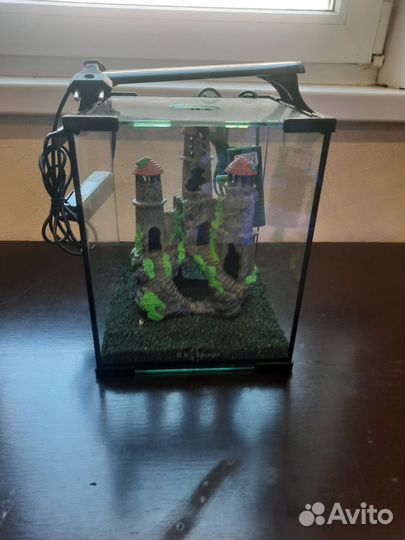 Аквариум