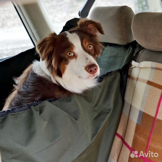 Автогамак для собак