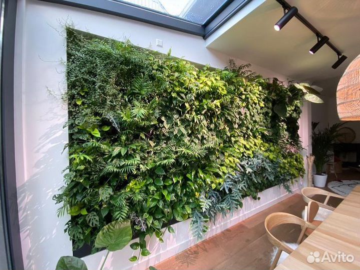 Фитостена, вертикальное озеленение Нижний Новгород