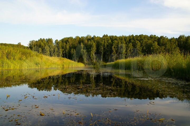 Участок 10,8 га (СНТ, ДНП)