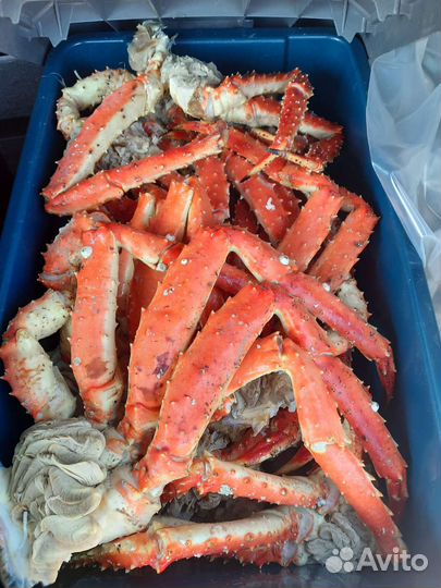 Краб парной