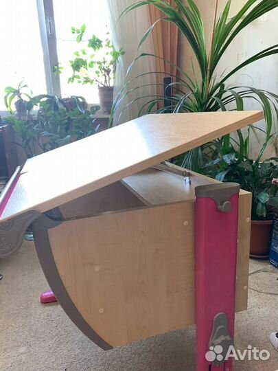 Растущая Парта Дэми