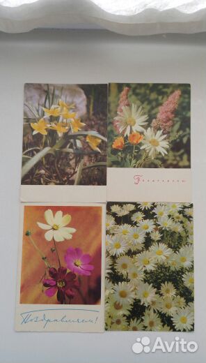 Открытки СССР