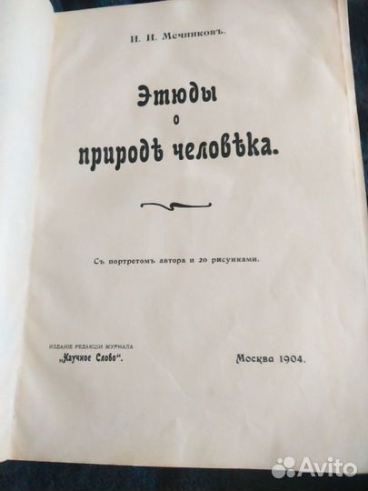 Книга