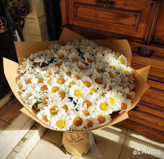 Цветы. Ромашка