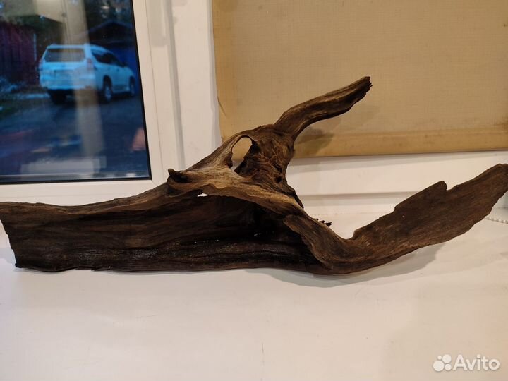 Аквариум на 100 литров, коряга 58 см