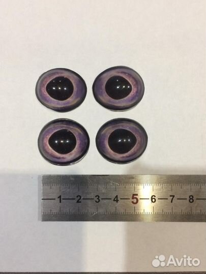 Глаза щуки, глаза рыб