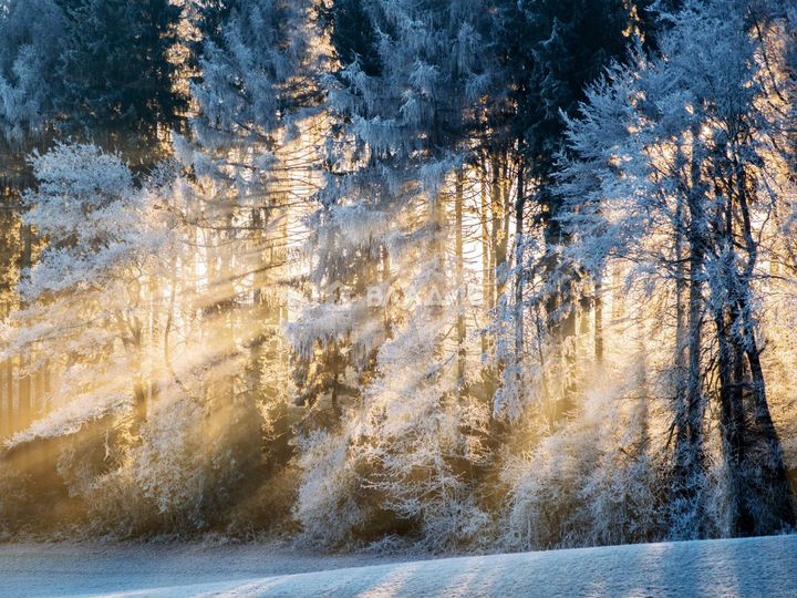 Участок 14,2 сот. (ИЖС)