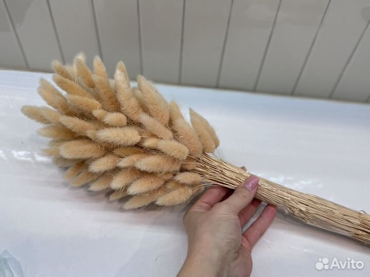 Сухоцветы букет