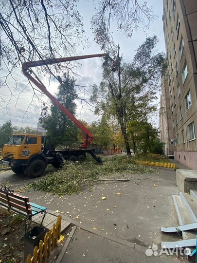 Опиловка спил деревьев, покос травы