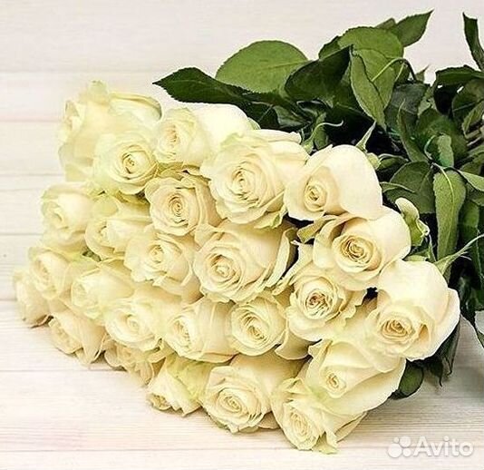 Розы Высокие Розы Гиганты Доставка Москва