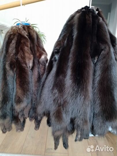 Шкуры куницы