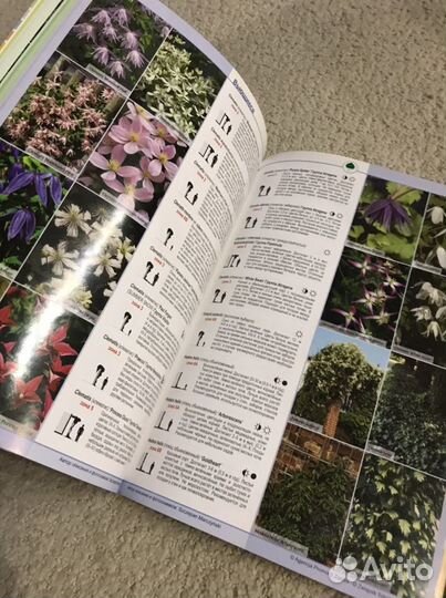 Книга для ландшафтных дизайнеров