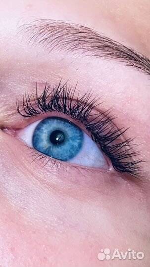 Начинающий мастер по наращиванию ресниц lashmaker