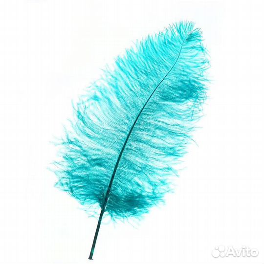 Перо для декора