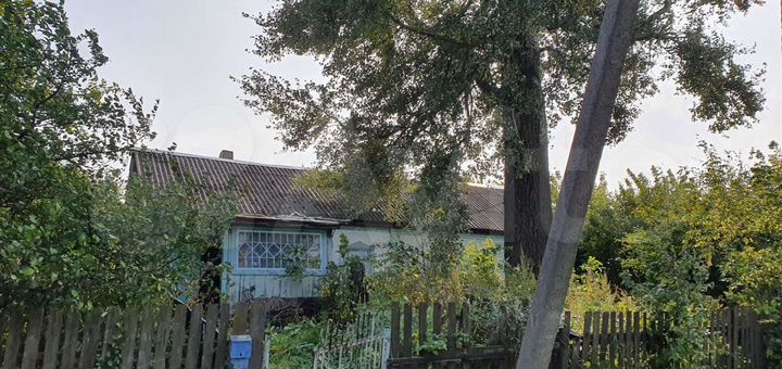 Жители деревни васильевка. Дк рига васильевка новомосковск. Город новомосковск, улица поселочная. Рига васильевка. Лесная васильевка.