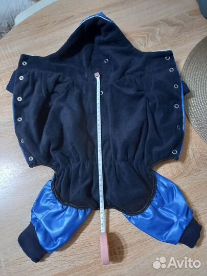 Одежда для собак мелких пород