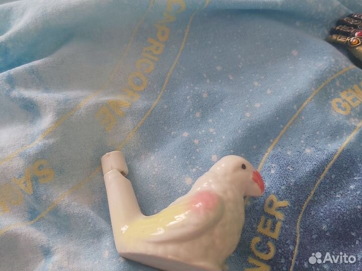 Свестелка папугай