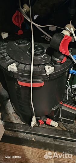 Внешний фильтр fluval fx6. Номерные сомы