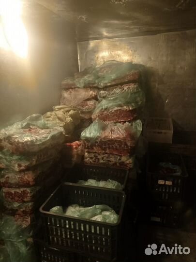 Мясо говядина котлетное