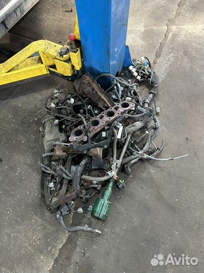 Двигатель на Lexus LS460L 4WD