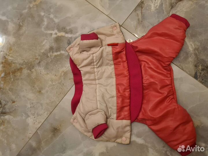 Одежда для собак