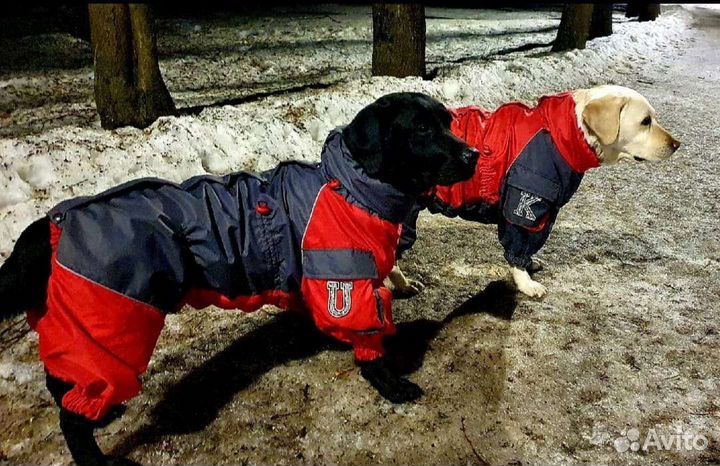 Одежда для собак