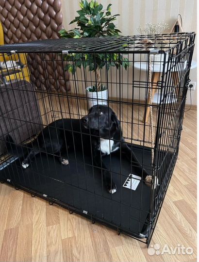 Клетка для собак и кошек металлические