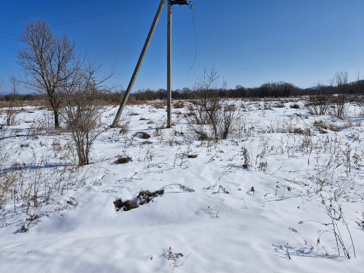 Участок 19,9 сот. (СНТ, ДНП)