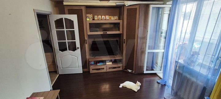 1-к. квартира, 43,2 м², 1/5 эт.