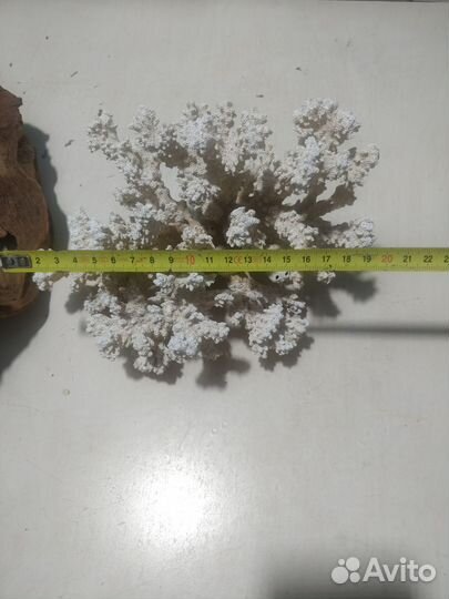 Все для аквариума