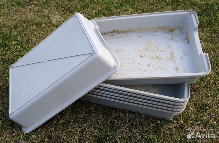 Поддон для рассады