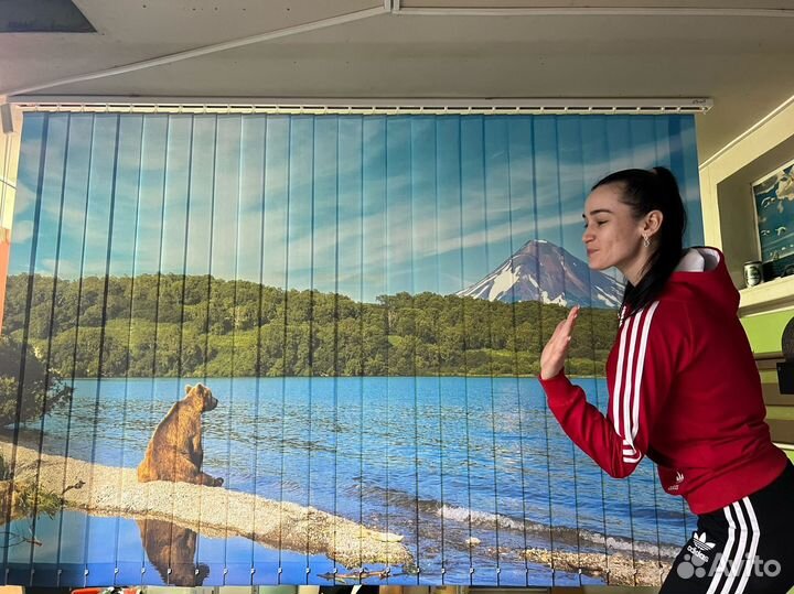 Жалюзи