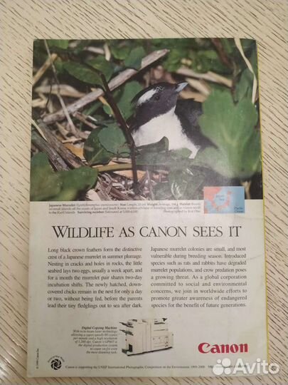 Журналы national geographic на английском