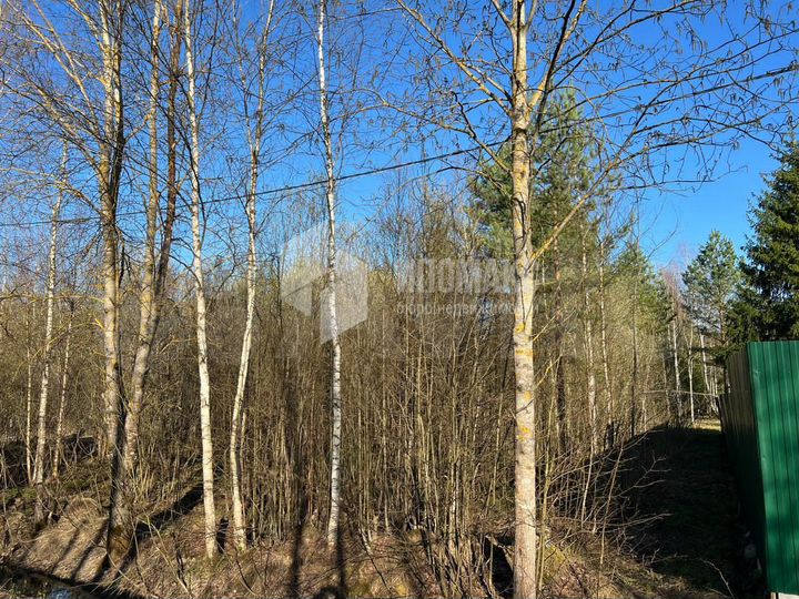 Участок 6,6 сот. (СНТ, ДНП)