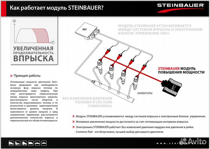 Steinbauer