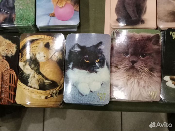 Карманные календарики с кошками и собаками