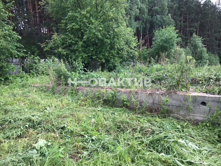 Участок 8 сот. (СНТ, ДНП)