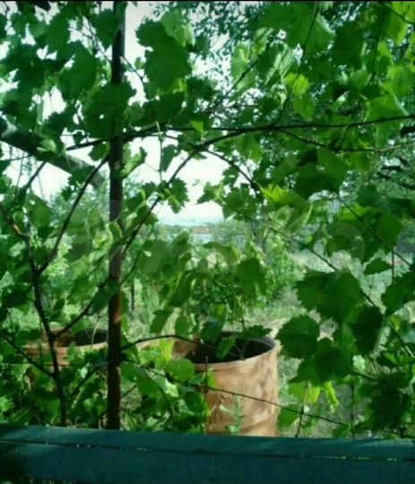 Участок 9 сот. (СНТ, ДНП)