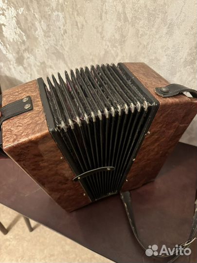 Гармонь кубань