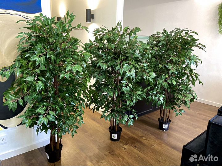 Искусственное дерево. Фитокартина для офиса