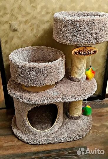 Когтеточка-комплекс