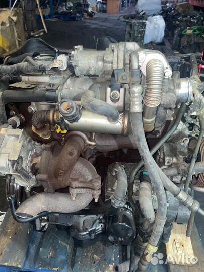 Двигатель Ford Mondeo qyba