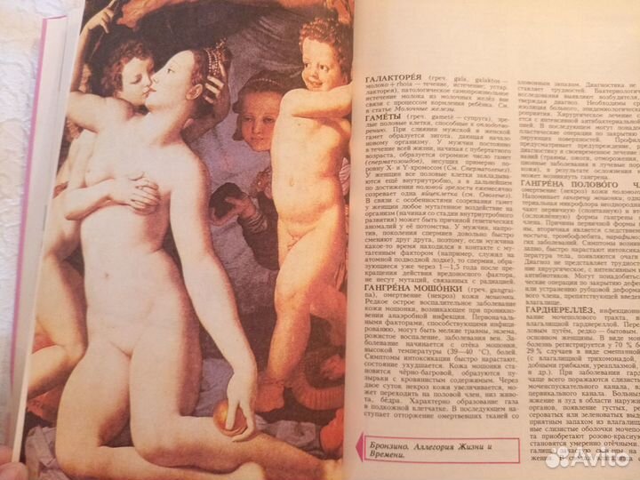 Сексология справочник, Сирс В ожидании малыша