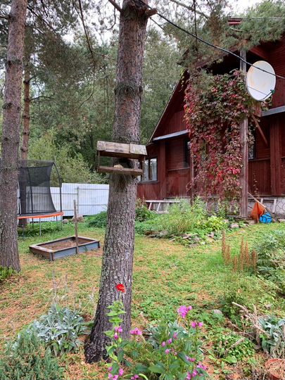 Дом 30,8 м² на участке 13 сот.