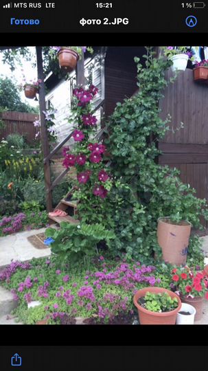 Дача 50 м² на участке 4,5 сот.