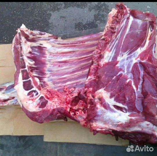 Мясо говядина